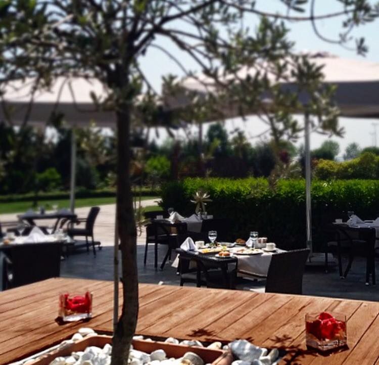 An outdoor dining area with tables set for meals, shaded by trees and umbrellas.